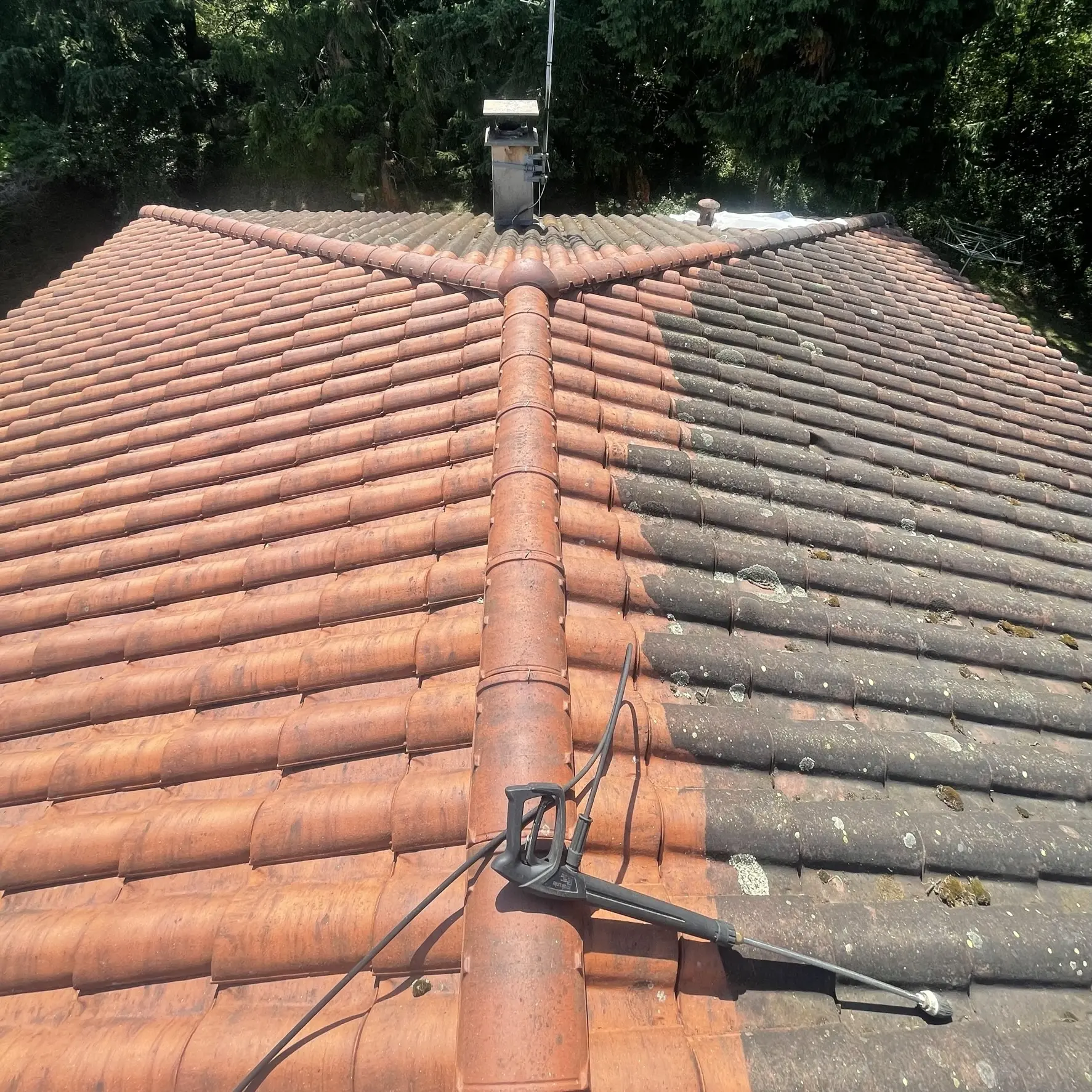 Nettoyage de toiture mousse lichens traitement toit