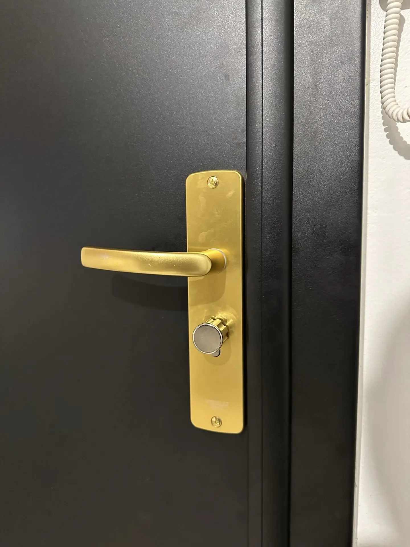 Porte blindée sécurité renforcé aluminium acier finition blindage